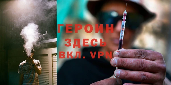 индика Елизово