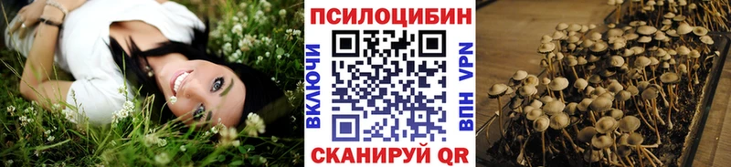 Псилоцибиновые грибы мицелий  Краснослободск 